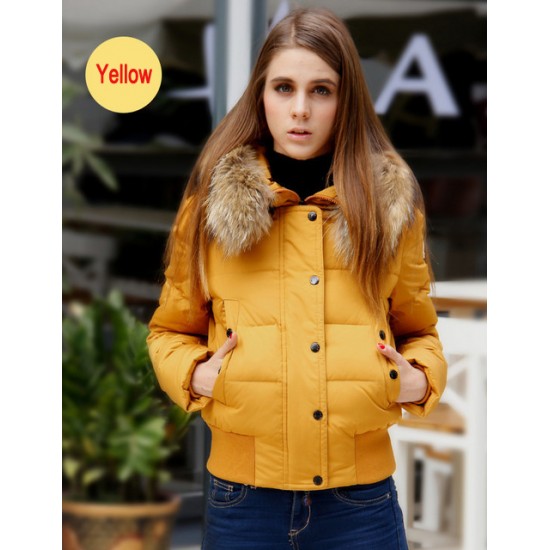 Hot Sale Women Moncler Short Down Jacket Yellow